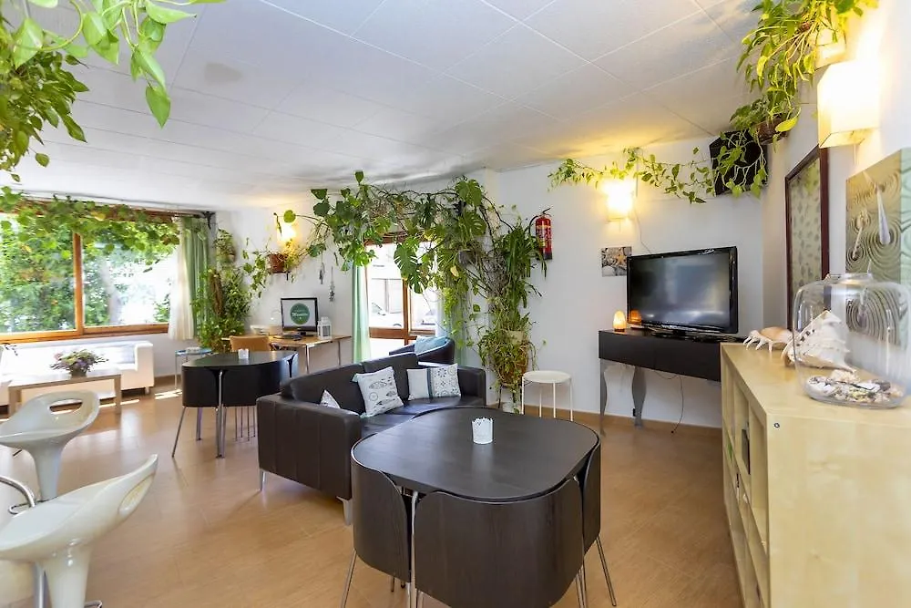 Hostal Manolita San Antonio  San Antonio (Ibiza)