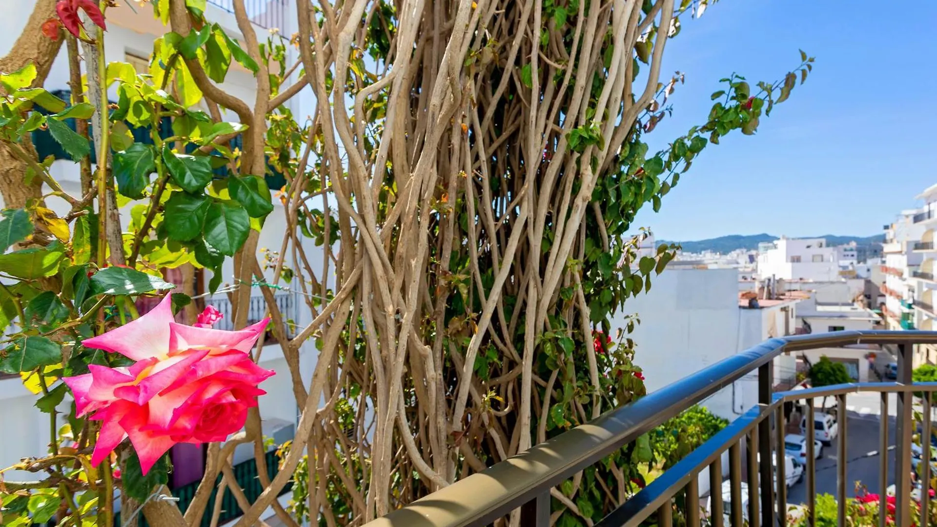 Affittacamere Hostal Manolita Sant Antoni de Portmany